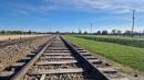 IMG-20241008-WA0005